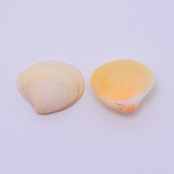 Натуральные раковины бисера SSHEL-WH0003-01