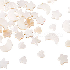 40шт 4 стиля натуральные бусины из пресноводных ракушек&nbsp;SHEL-TA0001-15