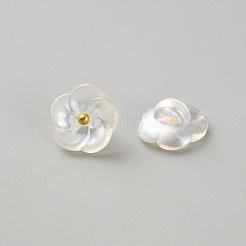 Пуговицы на пластиковой ножке с 1 отверстием&nbsp;AJEW-WH20048-01B