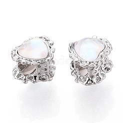 Сплав стеклянных европейских бусин FIND-N009-13P