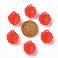 Прозрачные матовые акриловые подвески&nbsp;MACR-S371-02A-712