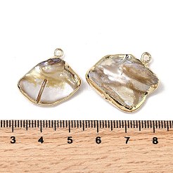 Природные подвески оболочки пресноводных SHEL-B003-13G