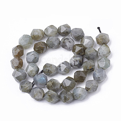 Природные лабрадорита бисер нитей G-T064-50