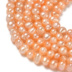 Fili di perle di perle d'acqua dolce coltivate naturali&nbsp;PA-CBAC463-04