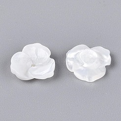 Natürlichen weißen Muschelperlen&nbsp;BSHE-T014-50