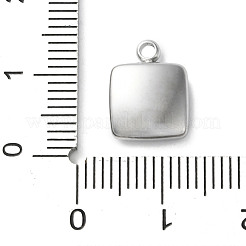 Подвески из акрила из нержавеющей стали 304&nbsp;LS-STAS-M091-02D-P