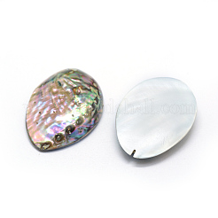Paua Shell naturale perle&nbsp;SSHEL-E564-52A