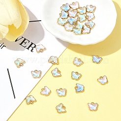 30 шт. подвески из сплава стекла FIND-FS0002-79