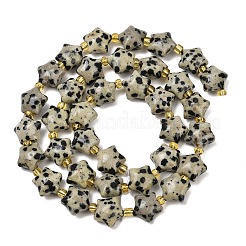 Природные яшмы далматин бисер нитей G-Z080-A08-10mm