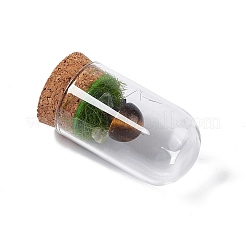 Натуральное украшение дисплея гриба тигрового глаза со стеклянным куполом&nbsp;G-E588-03F