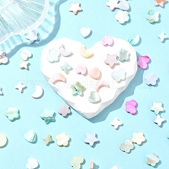 60 шт. 6 стиля макаронных бусин натурального цвета из ракушек BSHE-CJ0001-13