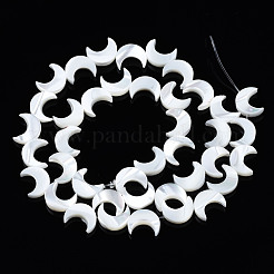 Нити бусин из натуральных трохоидных/трохус ракушек&nbsp;SSHEL-S266-025B-01