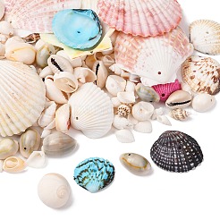 (Дефектная распродажа)&nbsp;BSHE-XCP0001-02