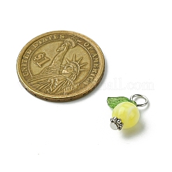 Акриловые подвески&nbsp;PALLOY-JF02614-01