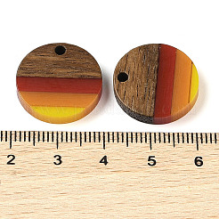 Подвески Pride на тему радуги из смолы и орехового дерева&nbsp;WOOD-K012-07A