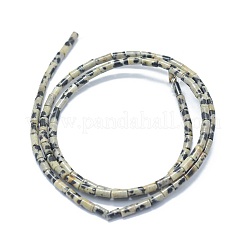 Природные яшмы далматин бисер нитей G-F631-B07