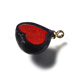 Латунные подвески из акрила OACR-R006-01G-13