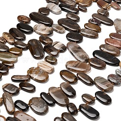 Природные окаменелое дерево бисер пряди G-C253-07