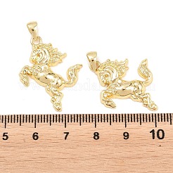 Pendentifs en laiton&nbsp;KK-P353-21G-03