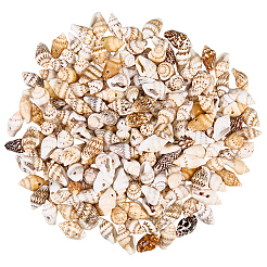 Подвески из натуральной ракушки 165 г&nbsp;SHEL-PA0001-05