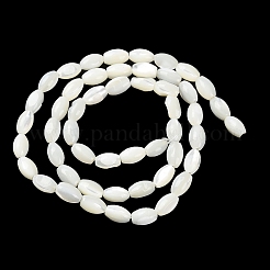 Fili di perline di conchiglia trochus naturale&nbsp;BSHE-E030-02A