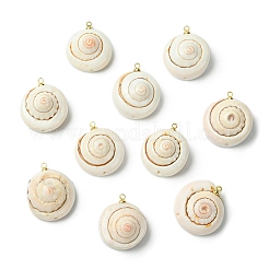 Кулоны из натуральной оболочки глаза шива&nbsp;KK-C143-55G