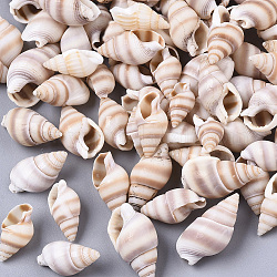 Perles de coquillage en spirale naturelle, perles non percées / sans trou, bisque, 12~18x6~10x5~8mm