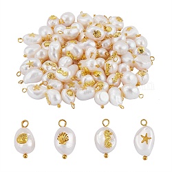 40 Uds 4 estilos colgantes de perlas keshi naturales, con cabujones de aleación dorada y aros de latón, ovalados y pepitas, color de concha, 13~16x8~9x5~8mm, agujero: 2 mm, 10 piezas / style