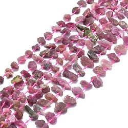 Chapelets de perles en tourmaline naturelle, pépites, 9~15x5~10x3~7mm, Trou: 0.8mm, Environ 48~52 pcs/chapelet, 15.55 pouce (39.5 cm)