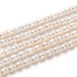 Fili di perle di perle d'acqua dolce coltivate naturali, riso, bianco, 5x4mm, Foro: 0.5 mm, circa 70pcs/filo, 14.57 pollice (37 cm)