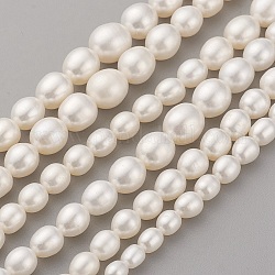 Brins de perles graduées en perles d'eau douce de culture naturelle, aaaa grade, ovale, vieille dentelle, 4~10x4~9mm, Trou: 0.5mm, Environ 60~62 pcs/chapelet, 15.7 pouce (40 cm)