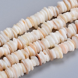 Eau douce naturelle de coquillage perles brins, tessons shell, disque, blanc, 6~10x5~7x1.5~2.5mm, Trou: 1.2mm, Environ 190 pcs/chapelet, 15.75 pouce (40 cm)