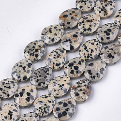 Natural Dalmatian Jasper Beads Strands, Faceted, teardrop, 18x13~13.5x5.5~6mm, Hole: 1.2mm, about 11pcs/strand, 7.8 inch