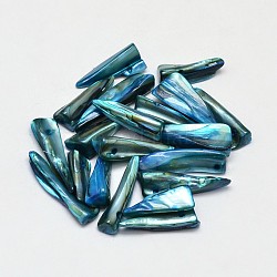 Gefärbte natürliche Süßwassermuschel-Nugget-Stickperlen, Stahlblau, 22~35x5~7x2 mm, Bohrung: 1 mm, ca. 510 Stk. / 500 g