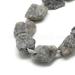 Natur Labradorit Perlen Stränge, Nuggets, 10~27x17~33x17~33 mm, Bohrung: 2~2.5 mm, ca. 12~15 Stk. / Strang, 15.7 Zoll