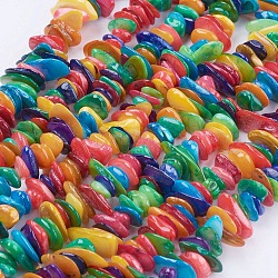 Natürliche Muschelchips Perlen Stränge, gefärbt, Mischfarbe, 5~18x4~10x1~4 mm, Bohrung: 1 mm, ungefähr 31.4 Zoll (80 cm)