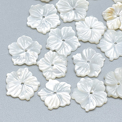 Cuentas de concha natural de blanco, Madre perla cuentas de concha, flor, color de concha, 11~12x11~12x1~2mm, agujero: 0.8 mm