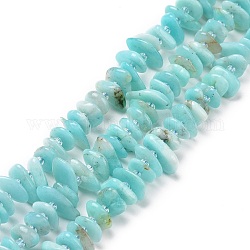 Chapelets de perles en amazonite naturelle, puce, 5~18x3~9x2~5mm, Trou: 1mm, Environ 67~69 pcs/chapelet, 15.55'' (39.5~40 cm)