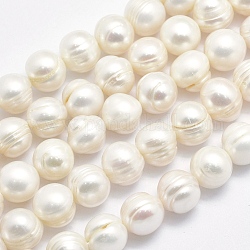 Brins de perles de culture d'eau douce naturelles, pomme de terre, beige, 10~11x9~10mm, Trou: 0.8mm, Environ 37 pcs/chapelet, 13.8 pouce (35 cm)
