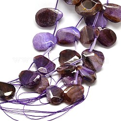 Nuggets Natural Agate Beads Strands, Dyed, Slate Blue, 24~45x13~35x8~12mm, Hole: 3mm, about 11pcs/strand, 16inch