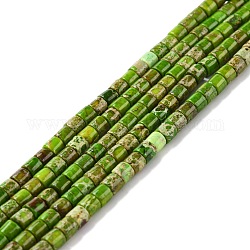 Brins de perles de jaspe impérial naturel, teinte, colonne, vert jaune, 4~4.5x4mm, Trou: 0.5mm, Environ 100 pcs/chapelet, 16.14'' (41 cm)