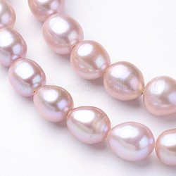 Hebras de perlas de agua dulce cultivadas naturales, oval, ciruela, 7~8x7~8mm, agujero: 0.5 mm, aproximamente 35~37 pcs / cadena, 13.98 pulgada (35.5 cm)
