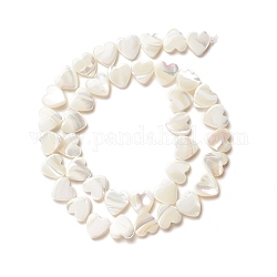 Perle trochid naturali / conchiglie trochus, cuore di pesca, colore conchiglia, 10x10x2.5~3mm, Foro: 0.8 mm, circa 40pcs/filo, 15.75 pollice (40 cm)