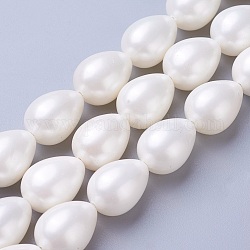 Fili di perle di conchiglia di elettropeste, lacrima, bianco, 17.5~18x12.5~13mm, Foro: 1 mm, circa 23pcs/filo, 15.7 pollice (40 cm)
