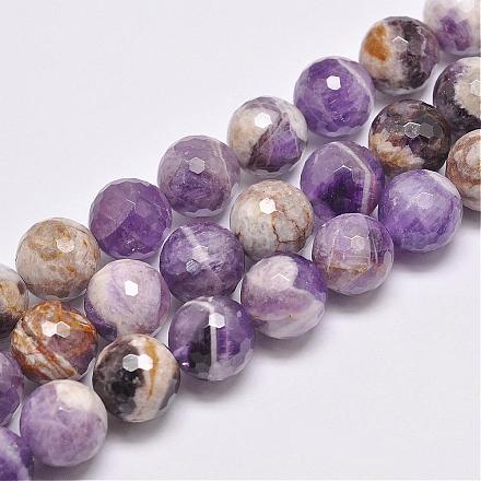 Natural Amethyst Beads Strands G-D862-44-12mm-1