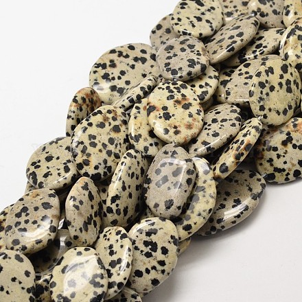 Natural Dalmatian Jasper Nuggets Beads Strands G-P093-25A-1