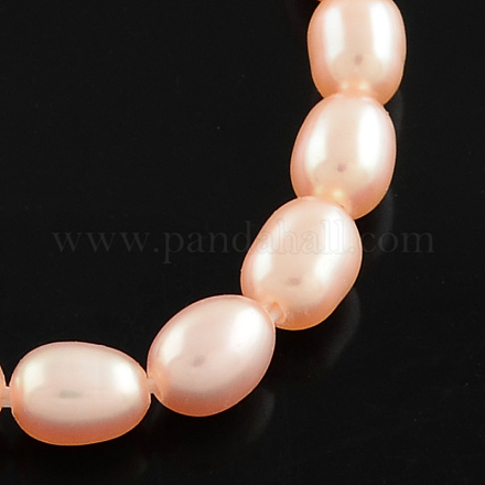 Natural Cultured Freshwater Pearl Beads Strands PEAR-Q003-4mm-01-1