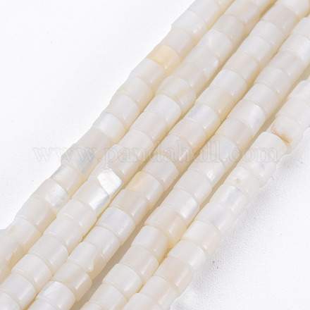 Eau douce naturelle de coquillage perles brins SHEL-N027-09-1