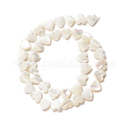 Perle trochid naturali / conchiglie trochus SSHEL-O001-27B-1