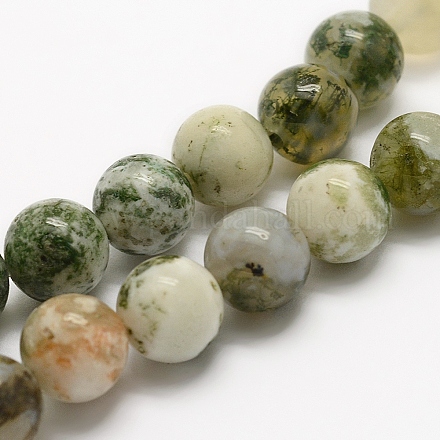 Chapelets de perles en agate d'arbre naturelle G-K194-6mm-02-1